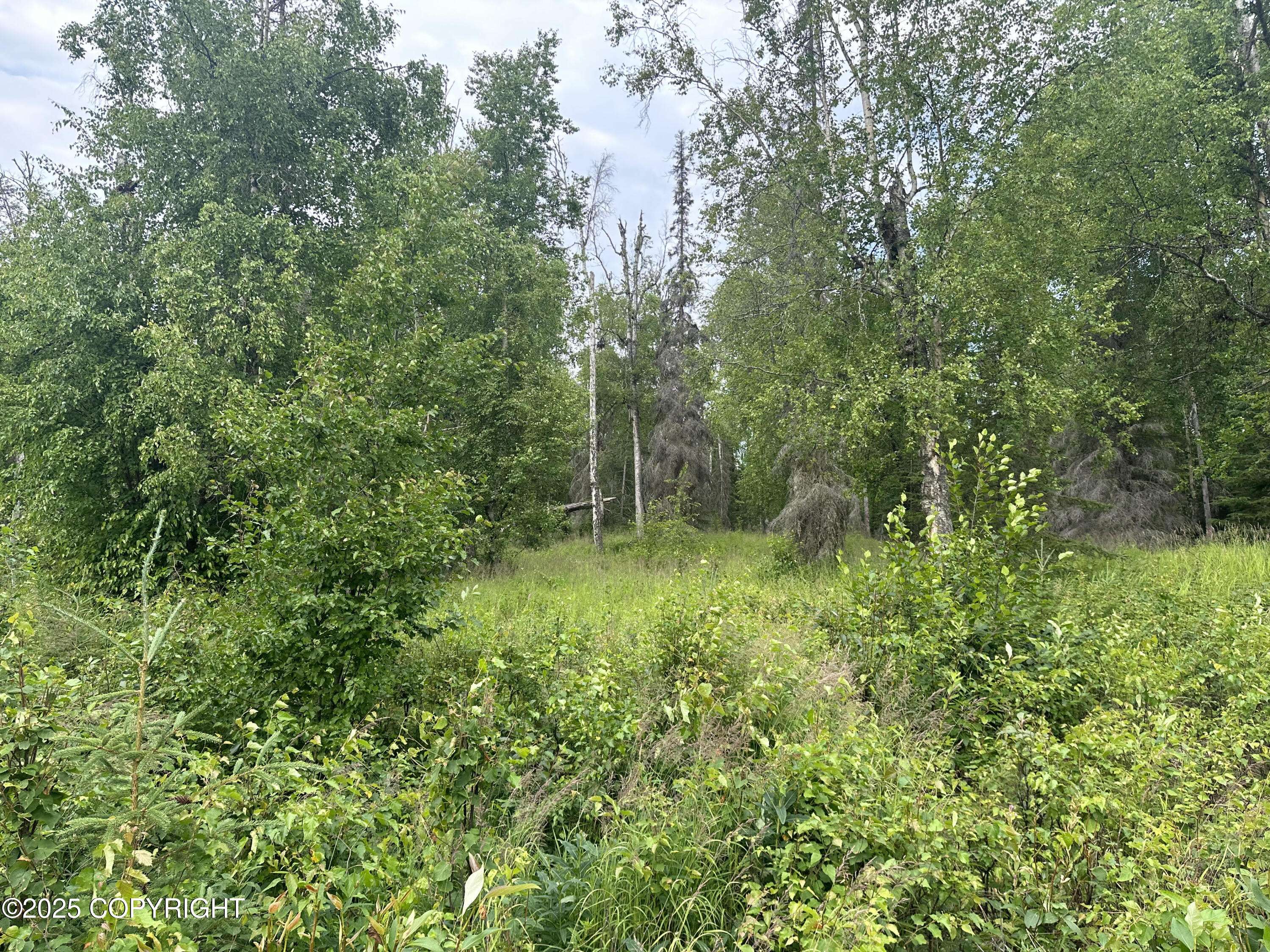 Wasilla, AK 99654,B004 Joye RD