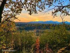 Trapper Creek, AK 99683,9020 S Cache Creek DR