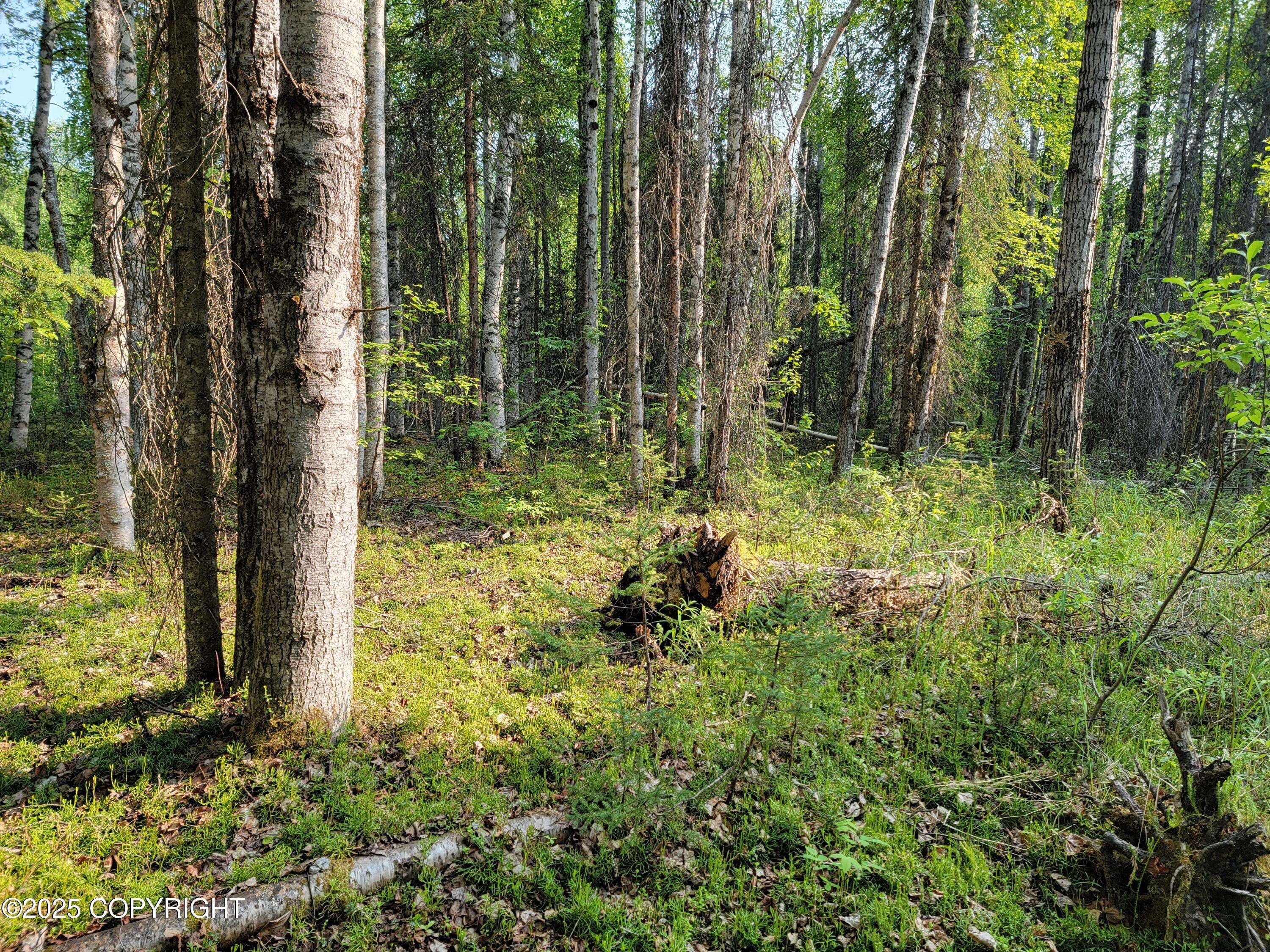 Willow, AK 99688,19859 E Caughtabigone AVE