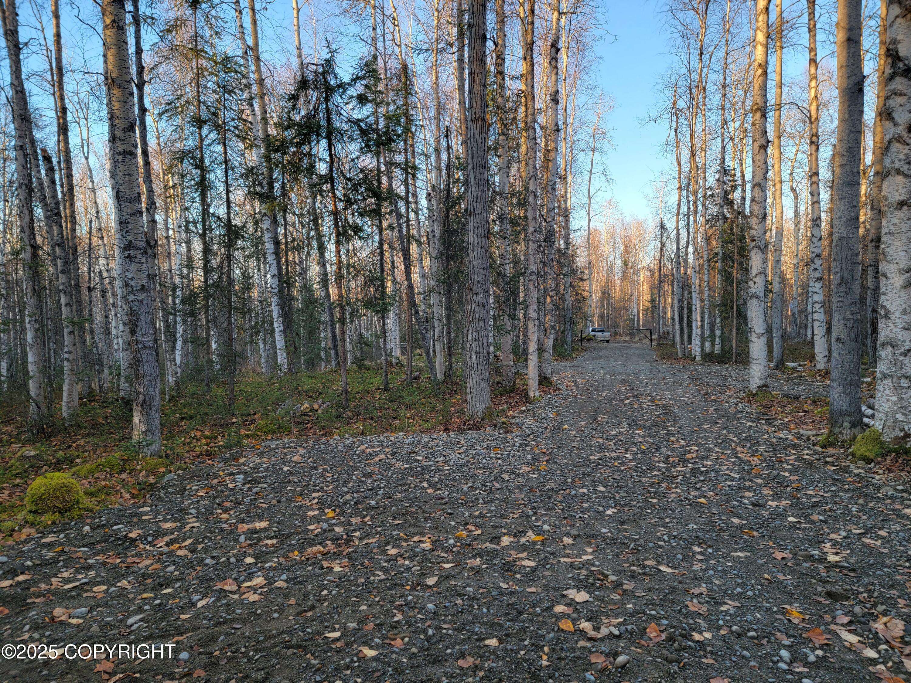 Willow, AK 99688,19859 E Caughtabigone AVE