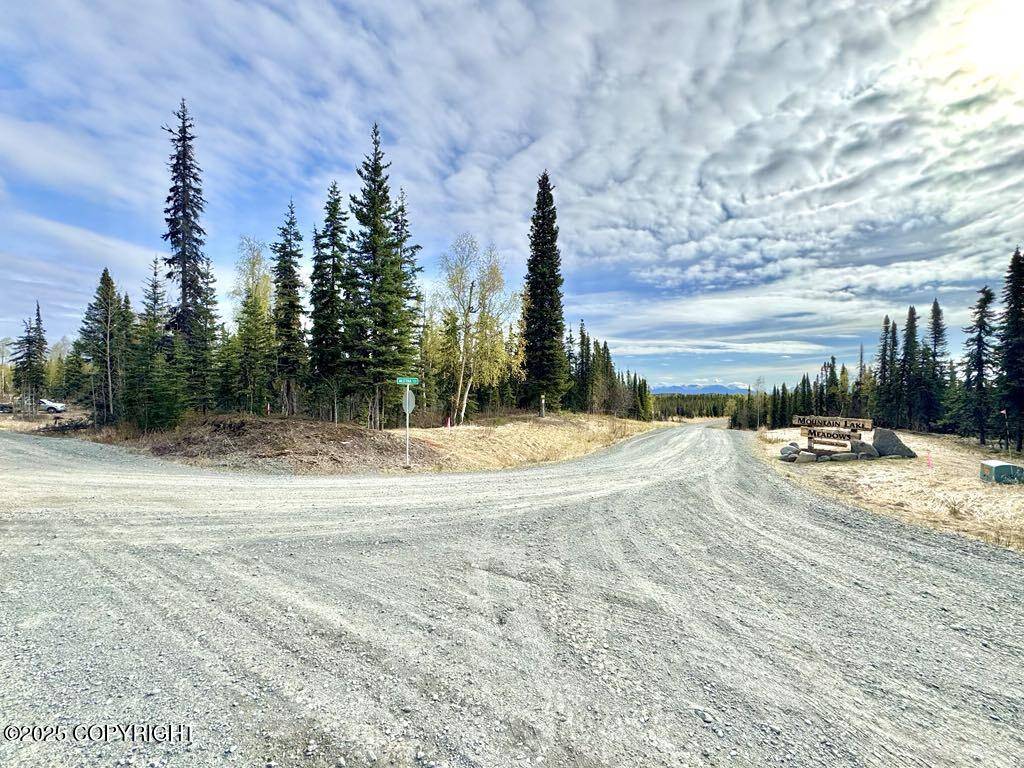 Soldotna, AK 99669,Tr A4 Aletha CT
