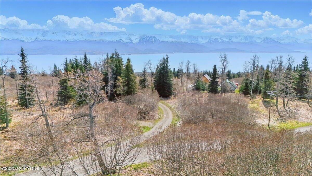 Homer, AK 99603,35735 Cloverdale CIR