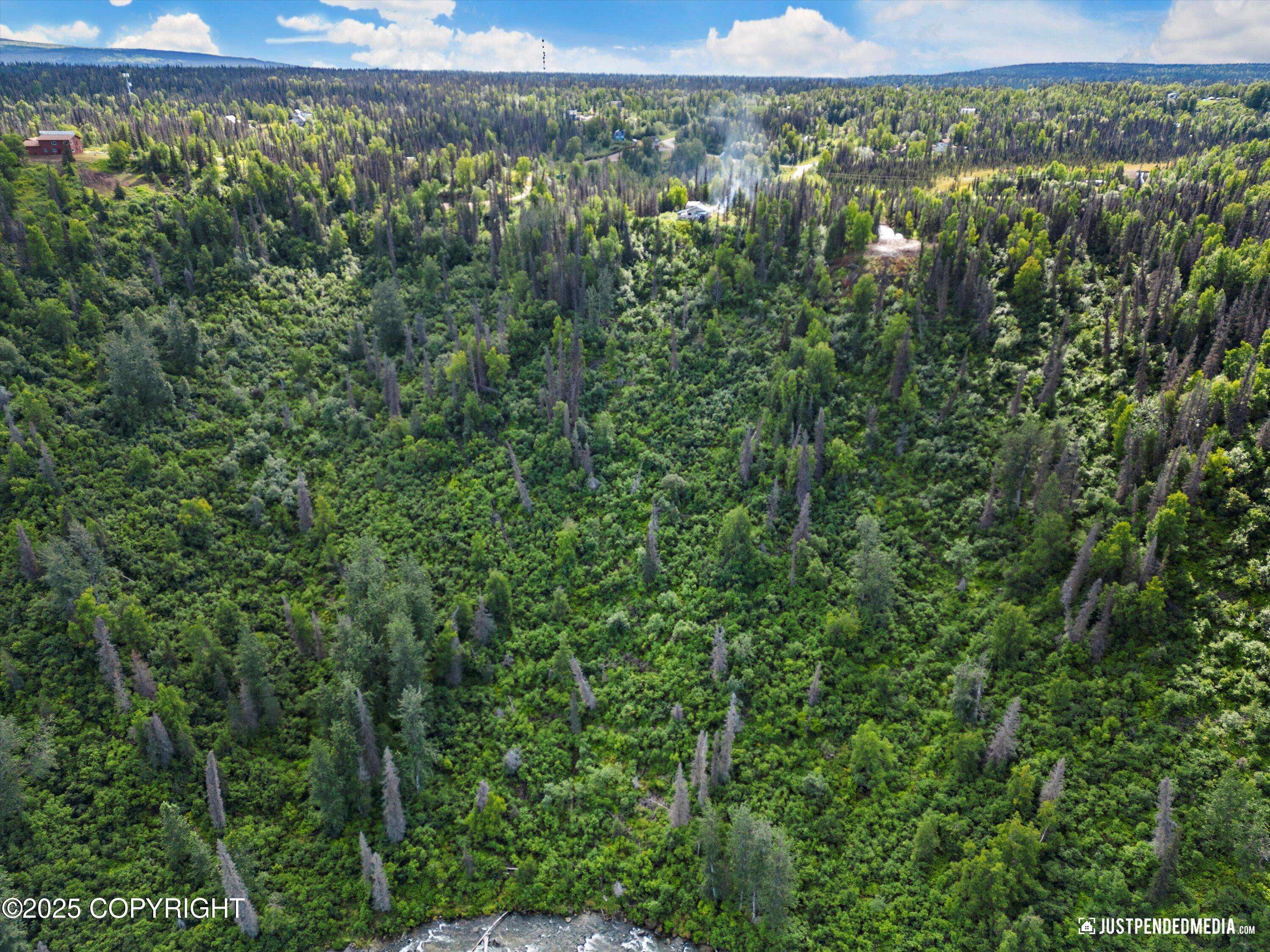 Willow, AK 99688,12719 Snowberry RD