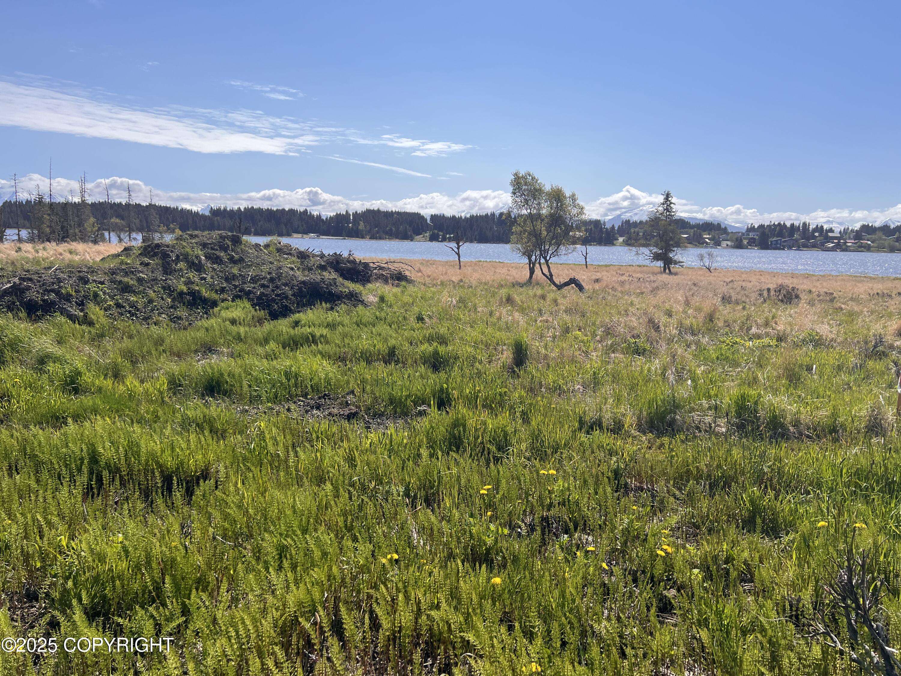 Homer, AK 99603,L44 Dahl WAY