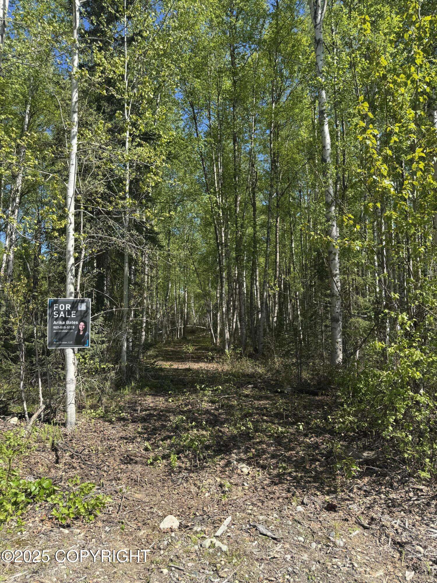 Willow, AK 99688,20001 E Goshawk WAY