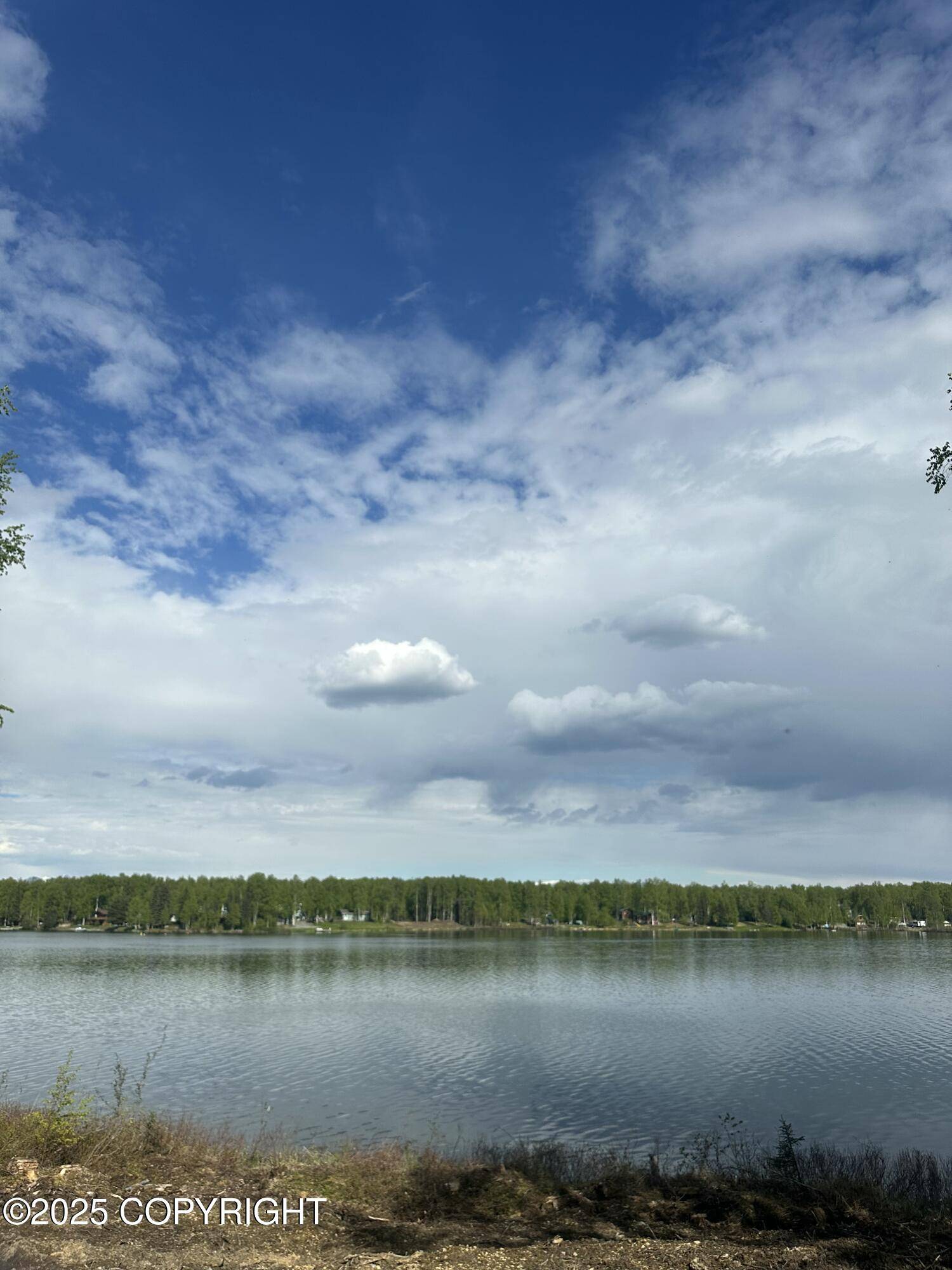 Willow, AK 99688,13505 N Willow Lake DR
