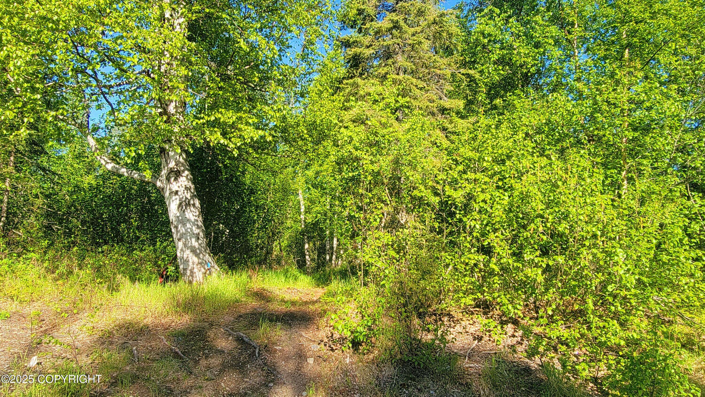 Wasilla, AK 99623,8947 W Cormorant WAY