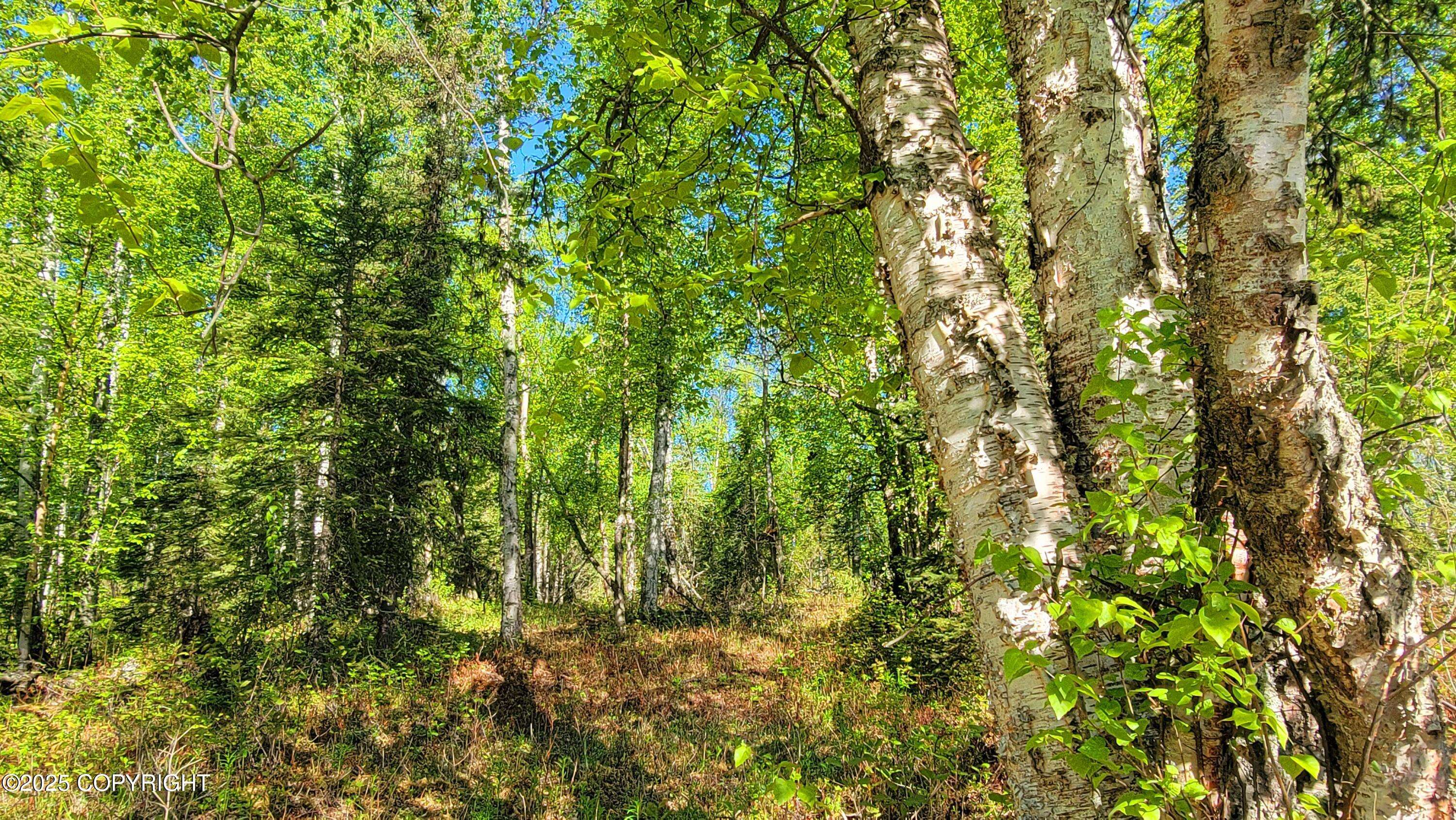 Wasilla, AK 99623,8947 W Cormorant WAY