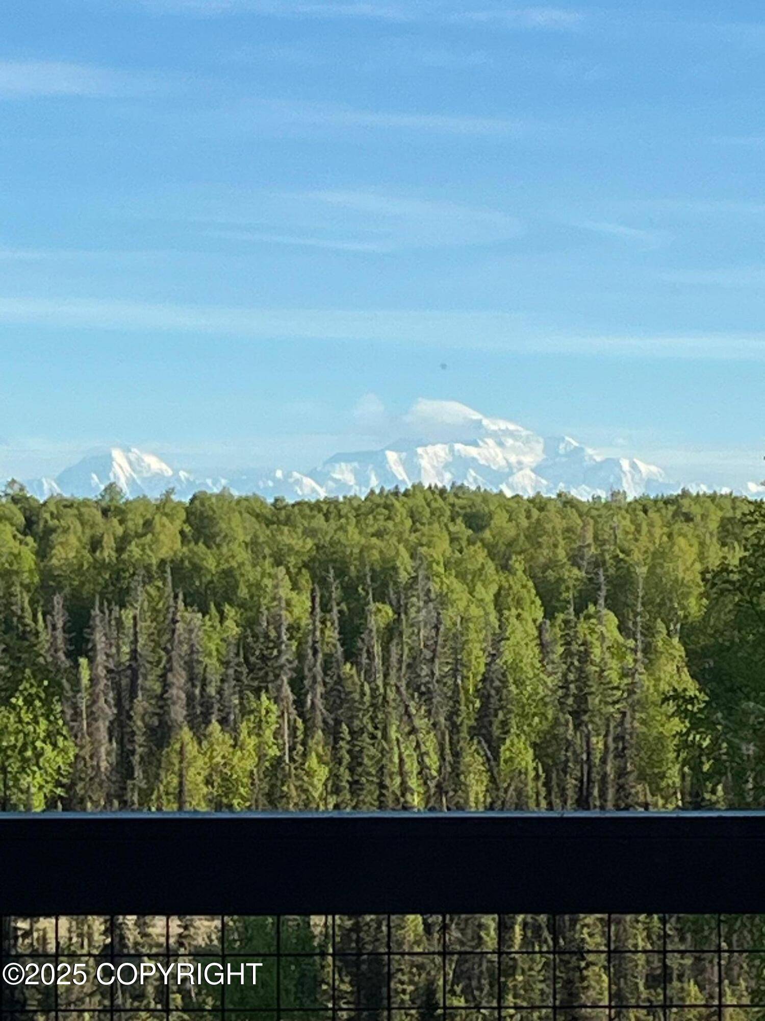 Talkeetna, AK 99676,16111 E Nosey AVE