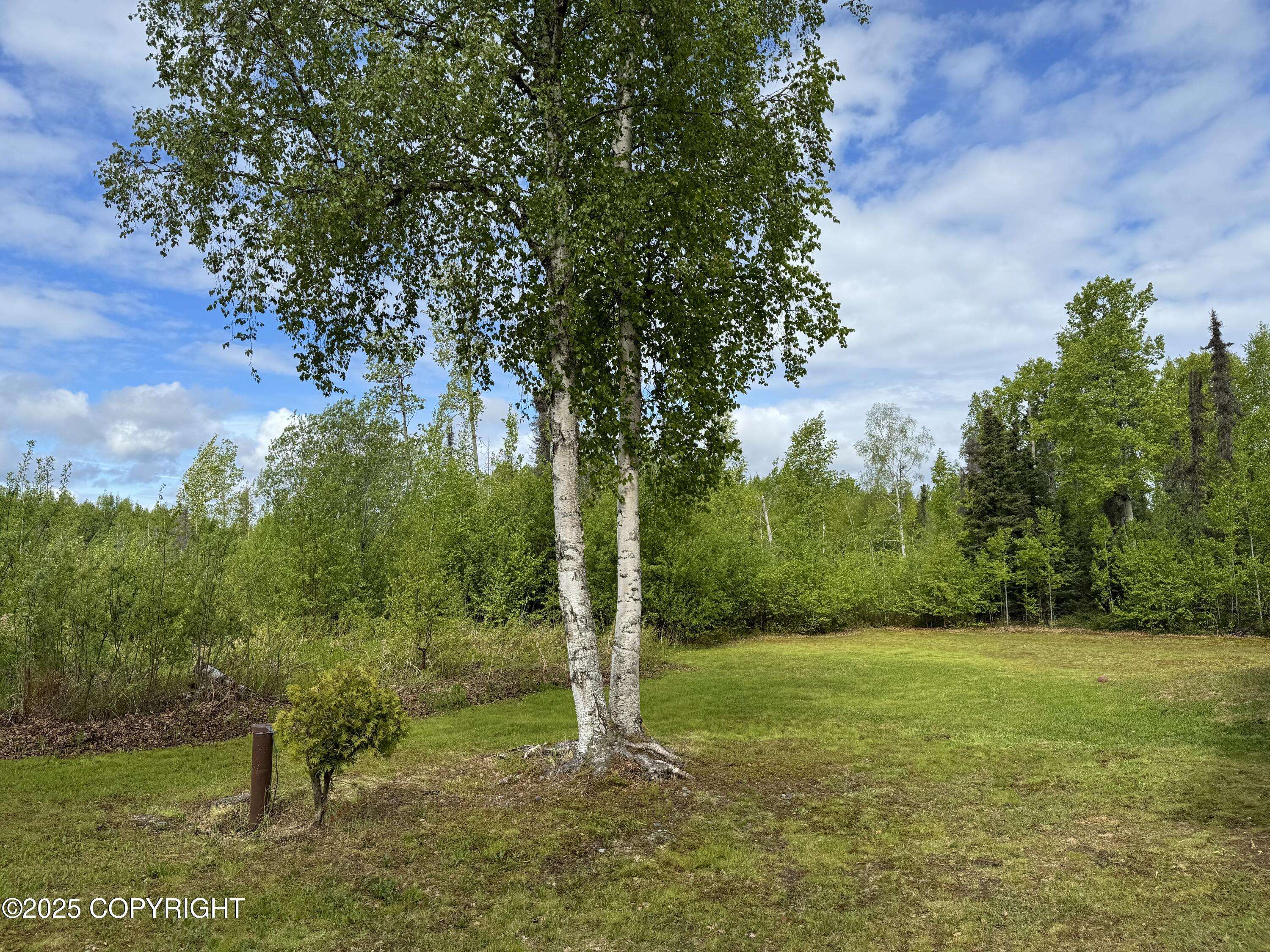 Willow, AK 99688,47244 S Anne DR