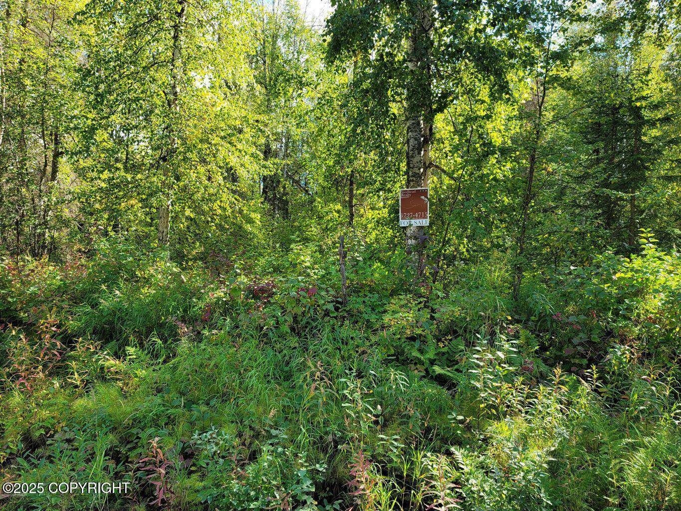 Willow, AK 99688,14500 N Susitna Landing RD