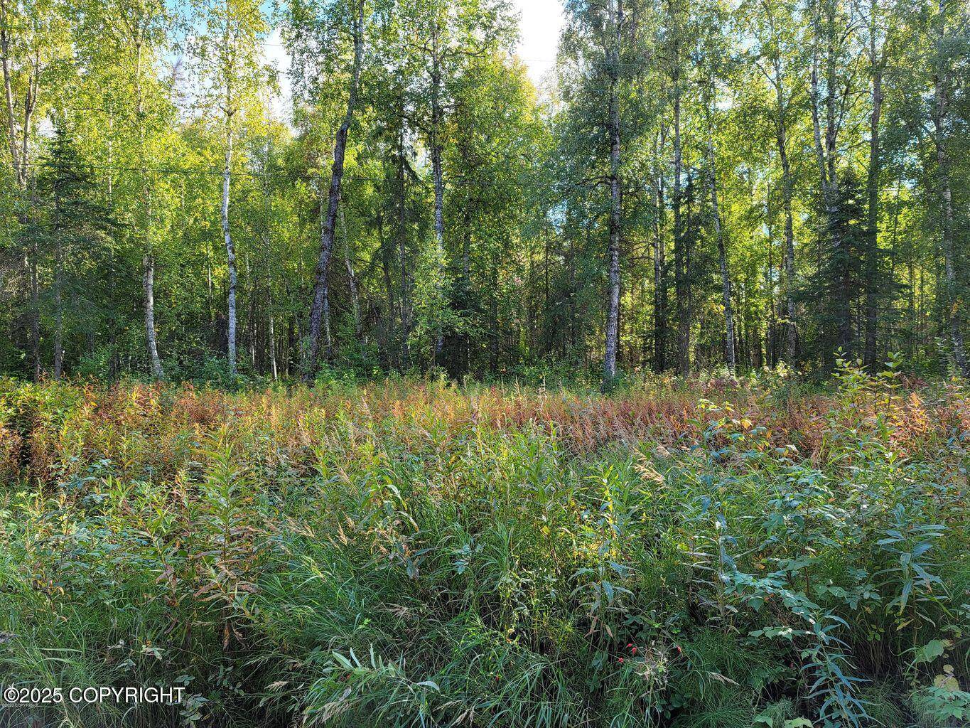 Willow, AK 99688,14500 N Susitna Landing RD