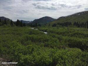 Willow, AK 99688,Mile 18 Willow-Fishhook RD