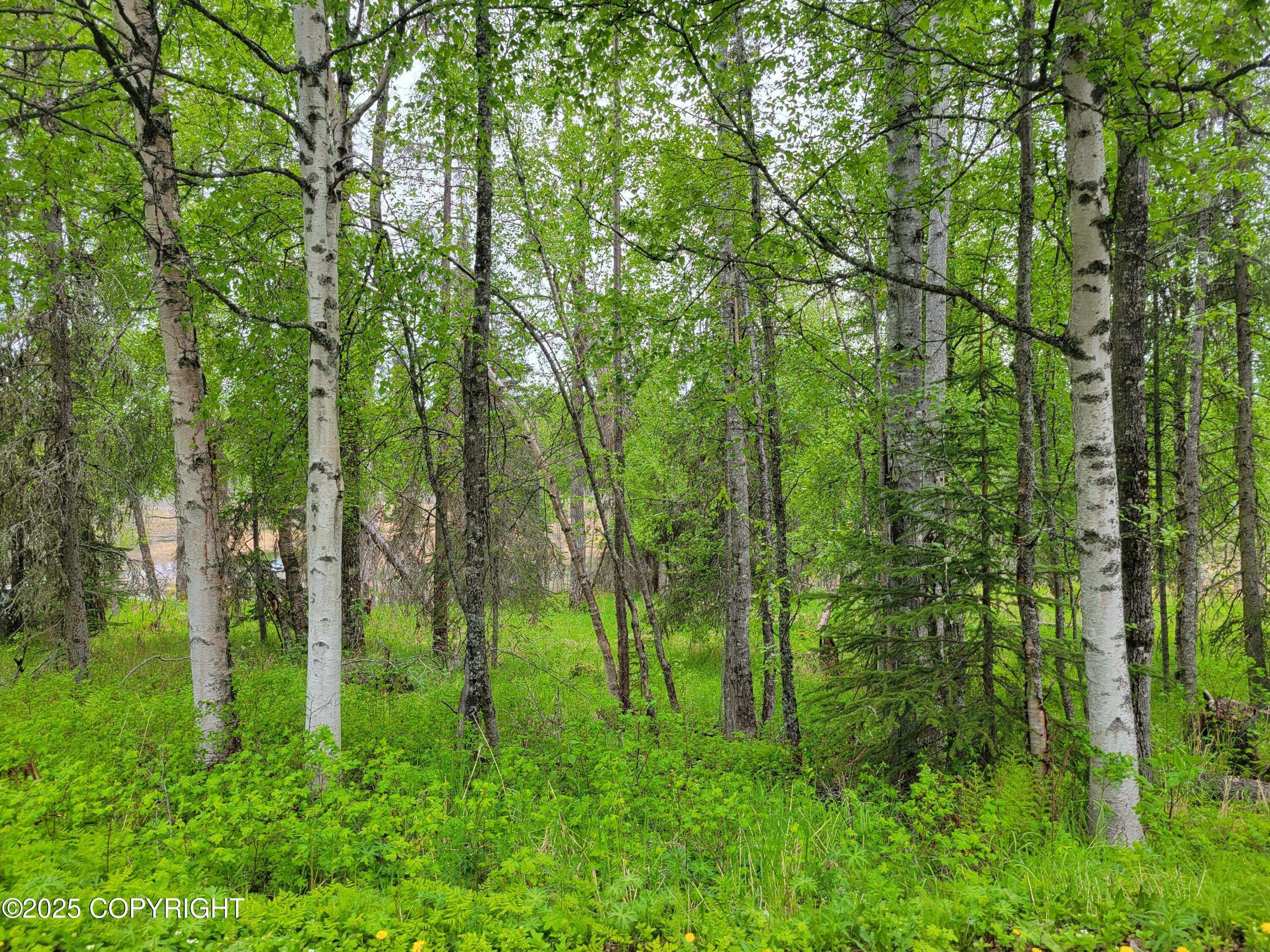 Nikiski/north Kenai, AK 99635,47847 Baranoff DR