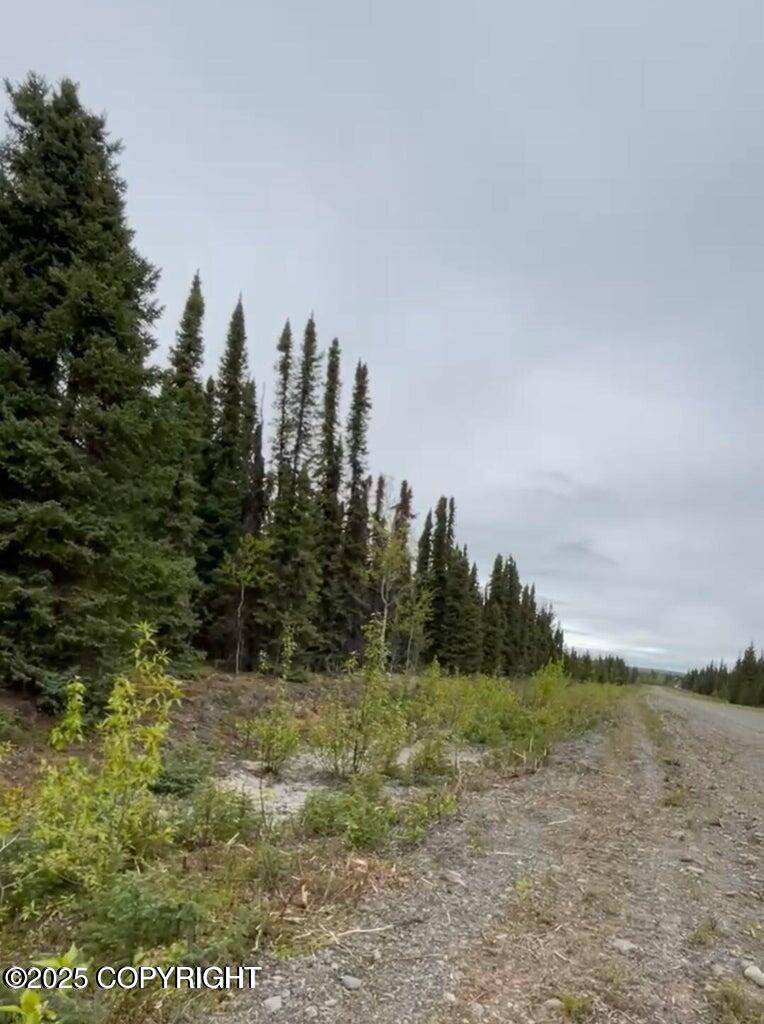 Soldotna, AK 99669,37252 Chinook ST