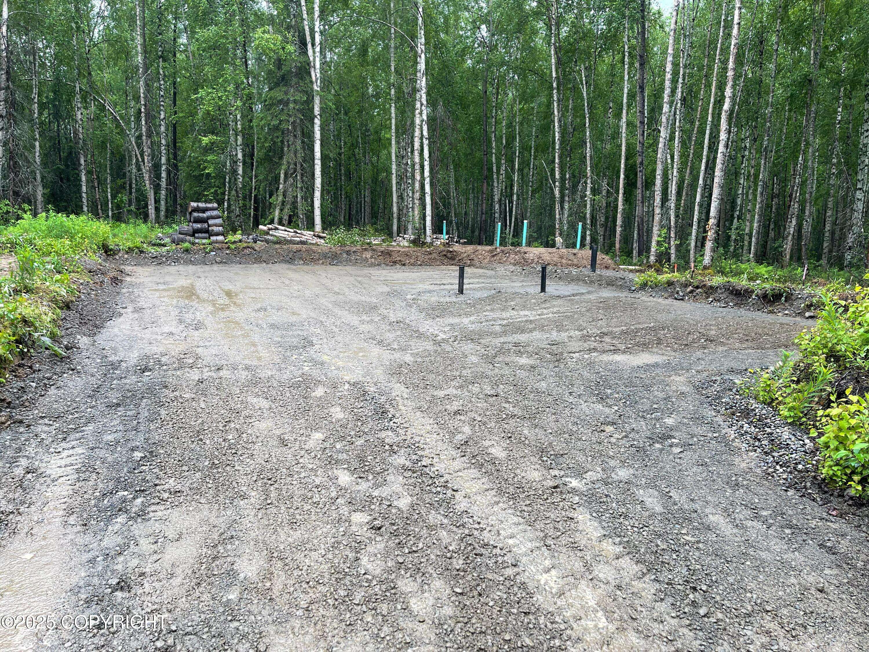 Willow, AK 99688,49892 S Silver Salmon DR
