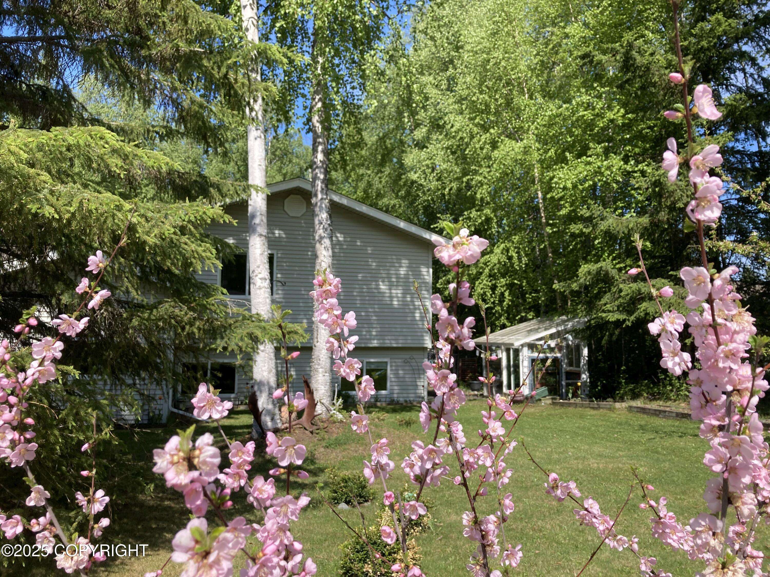 Chugiak, AK 99567,22909 Green Garden DR