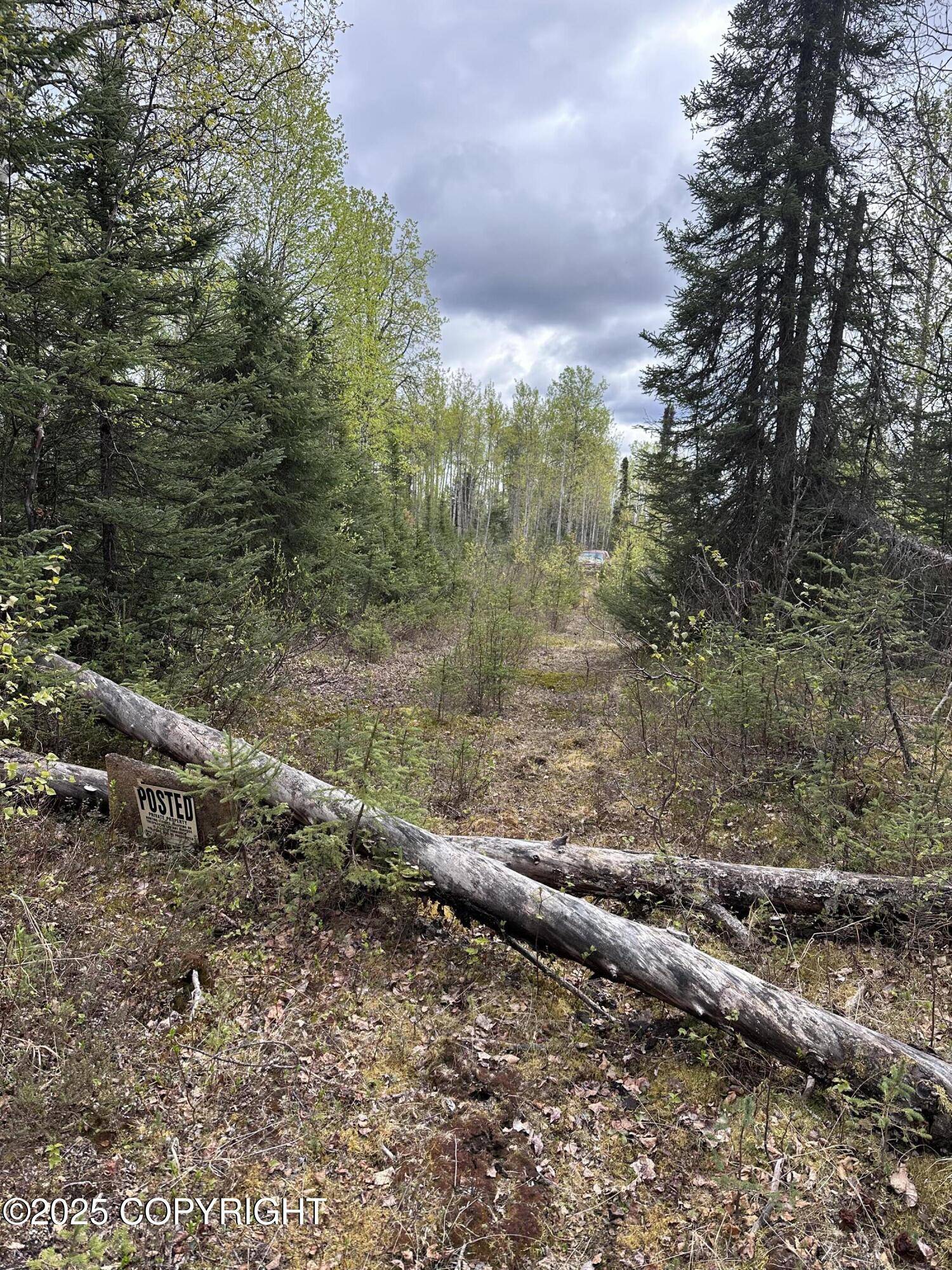 Talkeetna, AK 99676,18310 E Riddle AVE