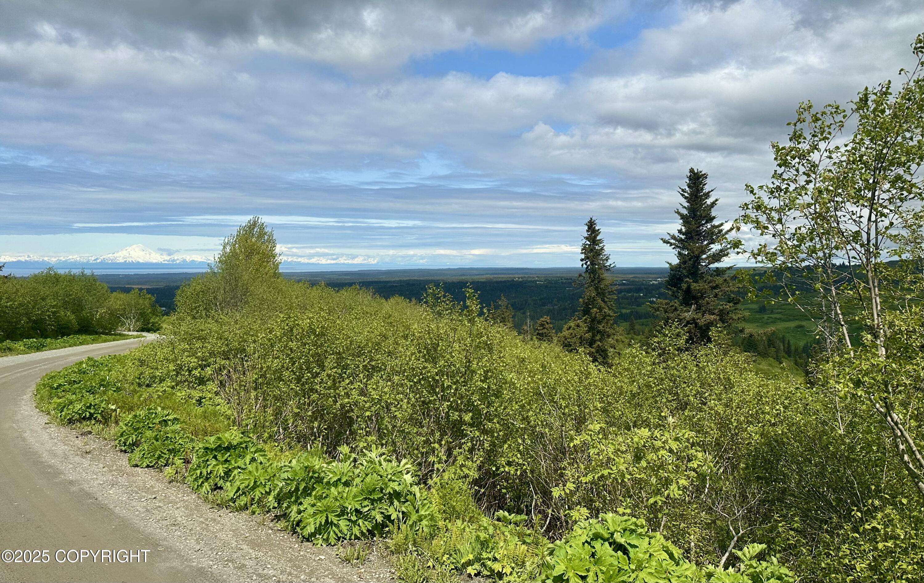 Anchor Point, AK 99556,65310 Knob Hill RD