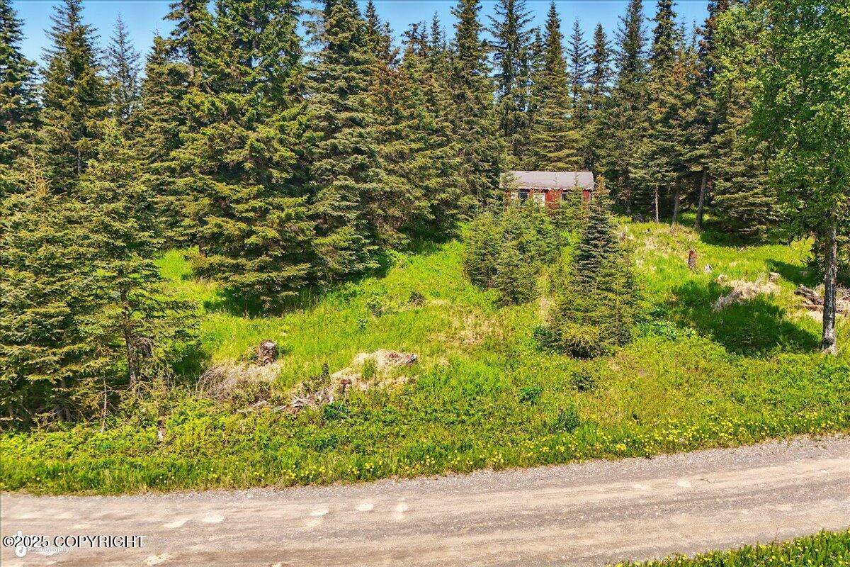 Ninilchik, AK 99639,67290 Kiana DR