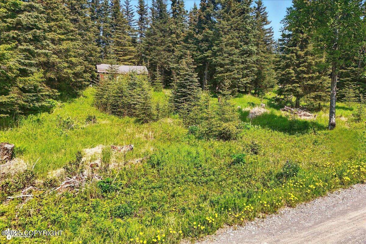 Ninilchik, AK 99639,67290 Kiana DR