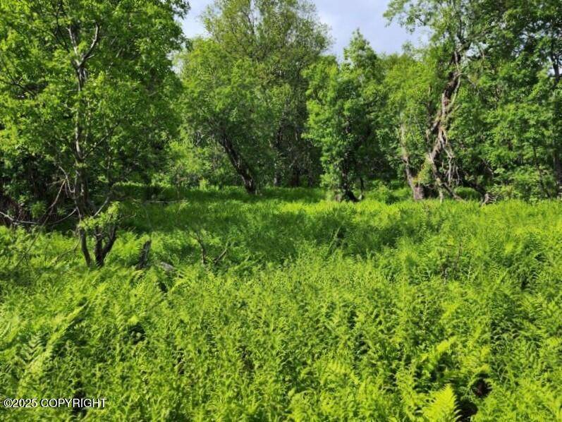 Haines, AK 99827,Lot 5 Barnett ST