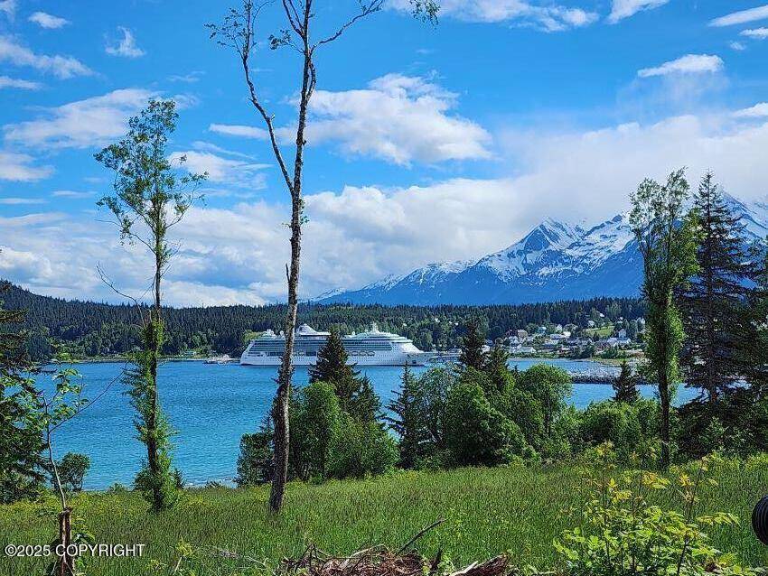 Haines, AK 99827,Lot 7 Barnett ST