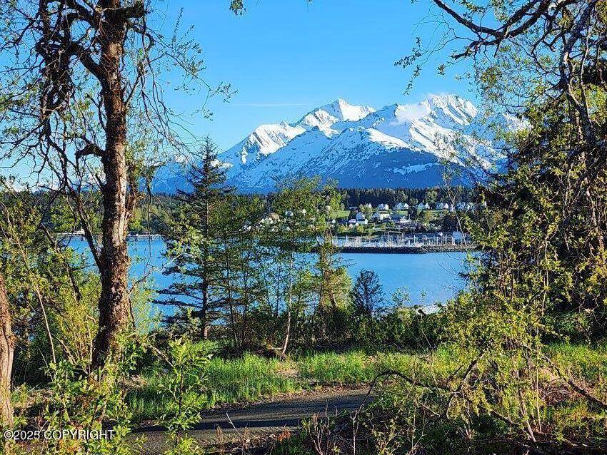 Haines, AK 99827,Lot 7 Barnett ST