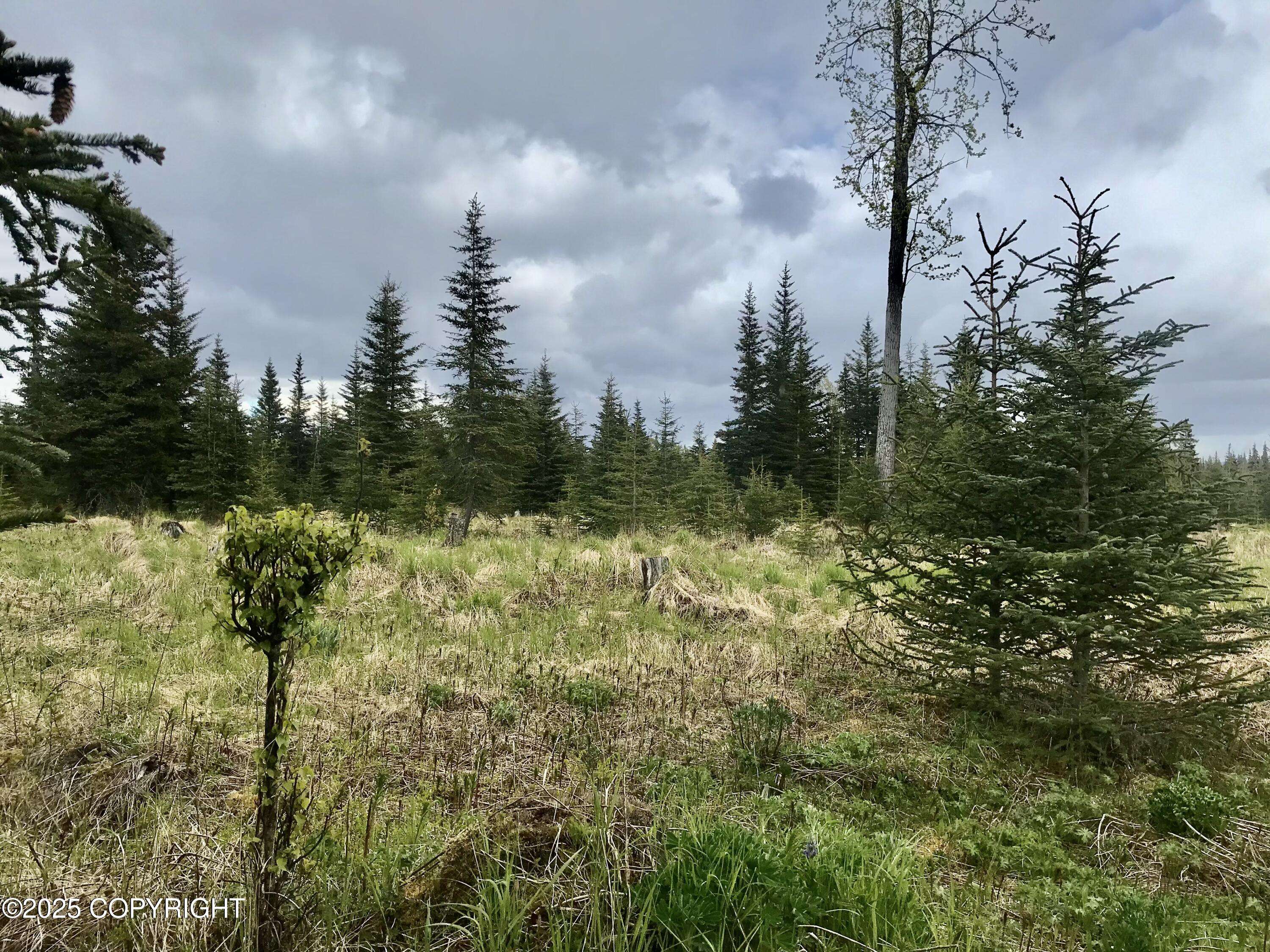 Ninilchik, AK 99639,67212 Homestead RD