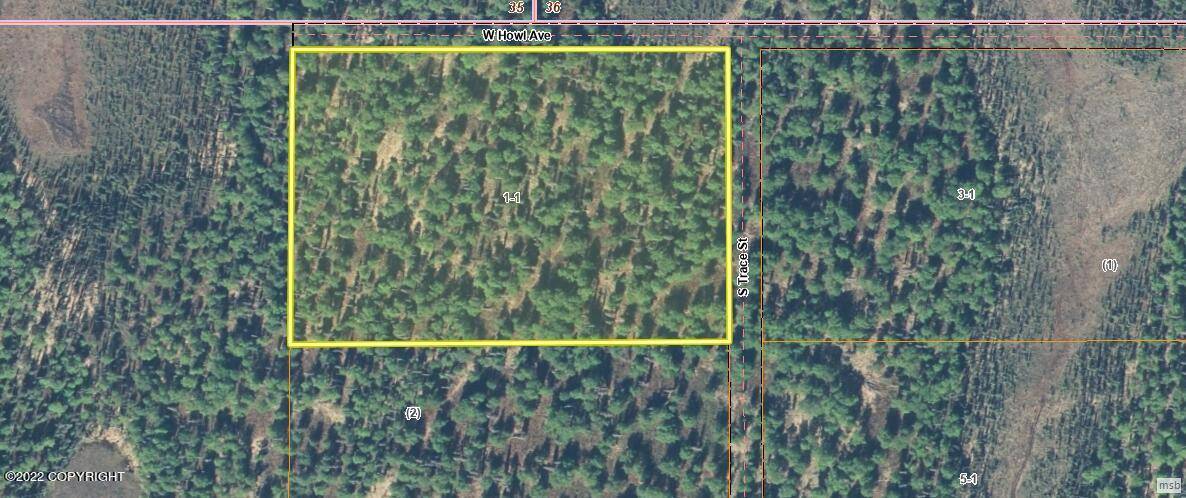 Trapper Creek, AK 99683,L1-1 W Howl AVE