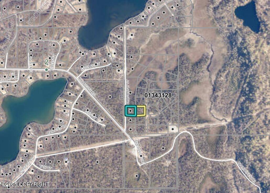 Nikiski/north Kenai, AK 99611,50930 Dragonfly ST