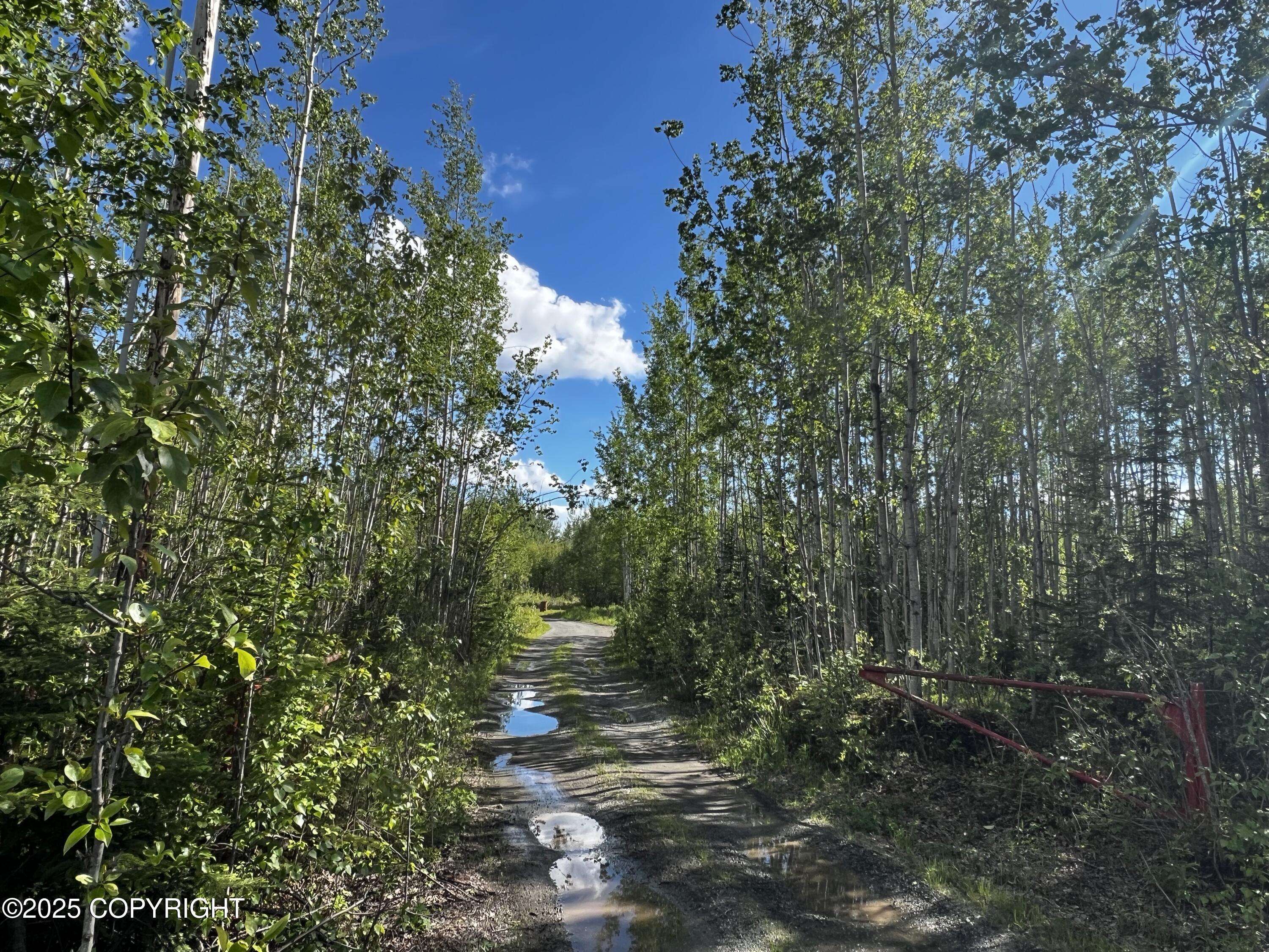 Big Lake, AK 99652,13468 W Cherrywood DR
