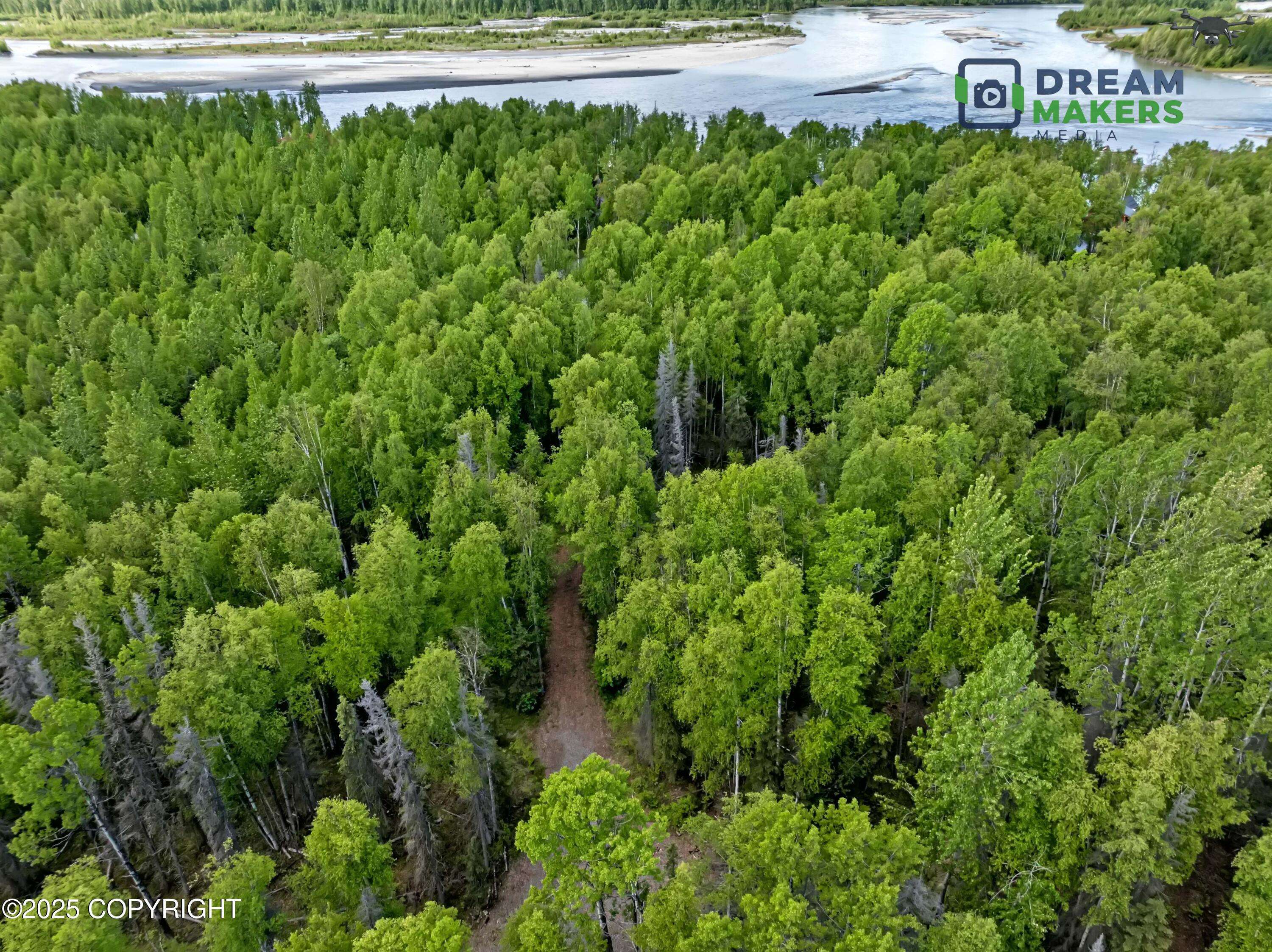 Willow, AK 99688,55987 S View Point DR