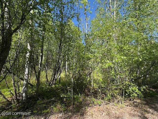 Wasilla, AK 99654,15377 W 7th ST