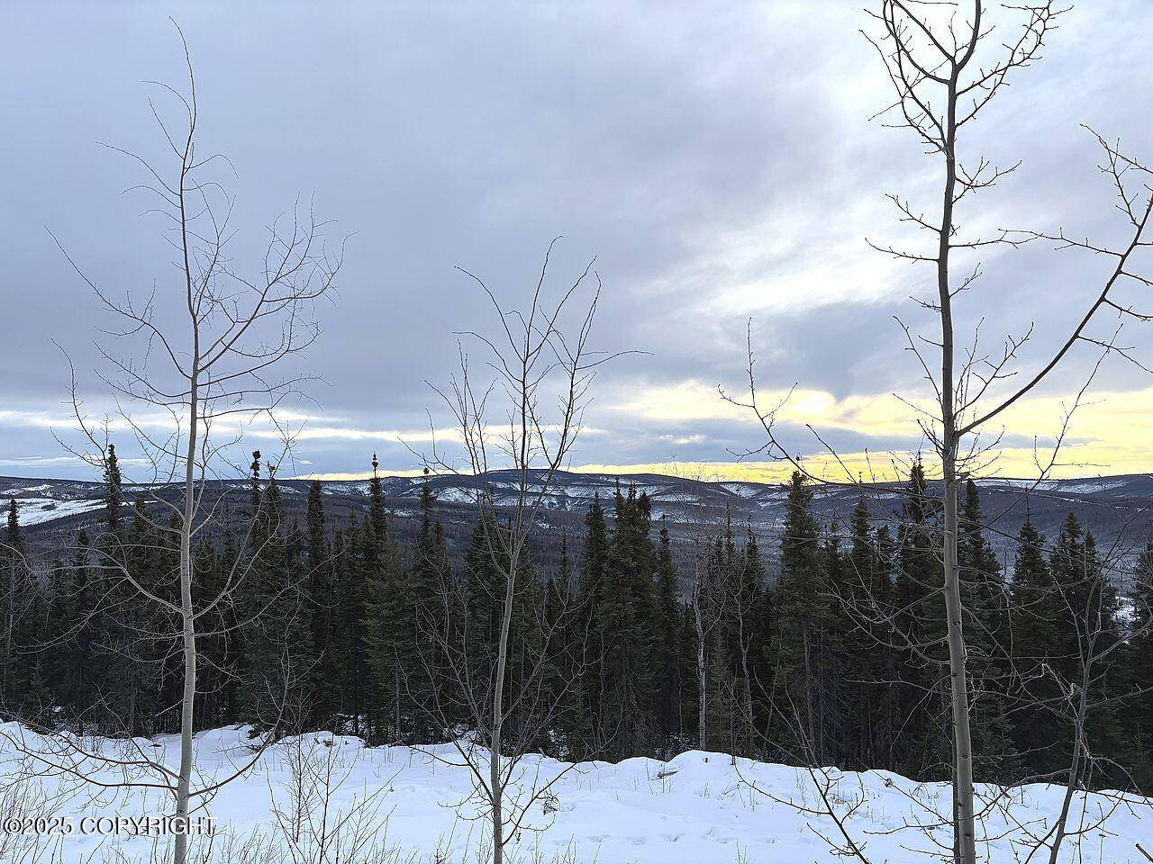 Fairbanks, AK 99712,L32 B3 Olnes Loop RD