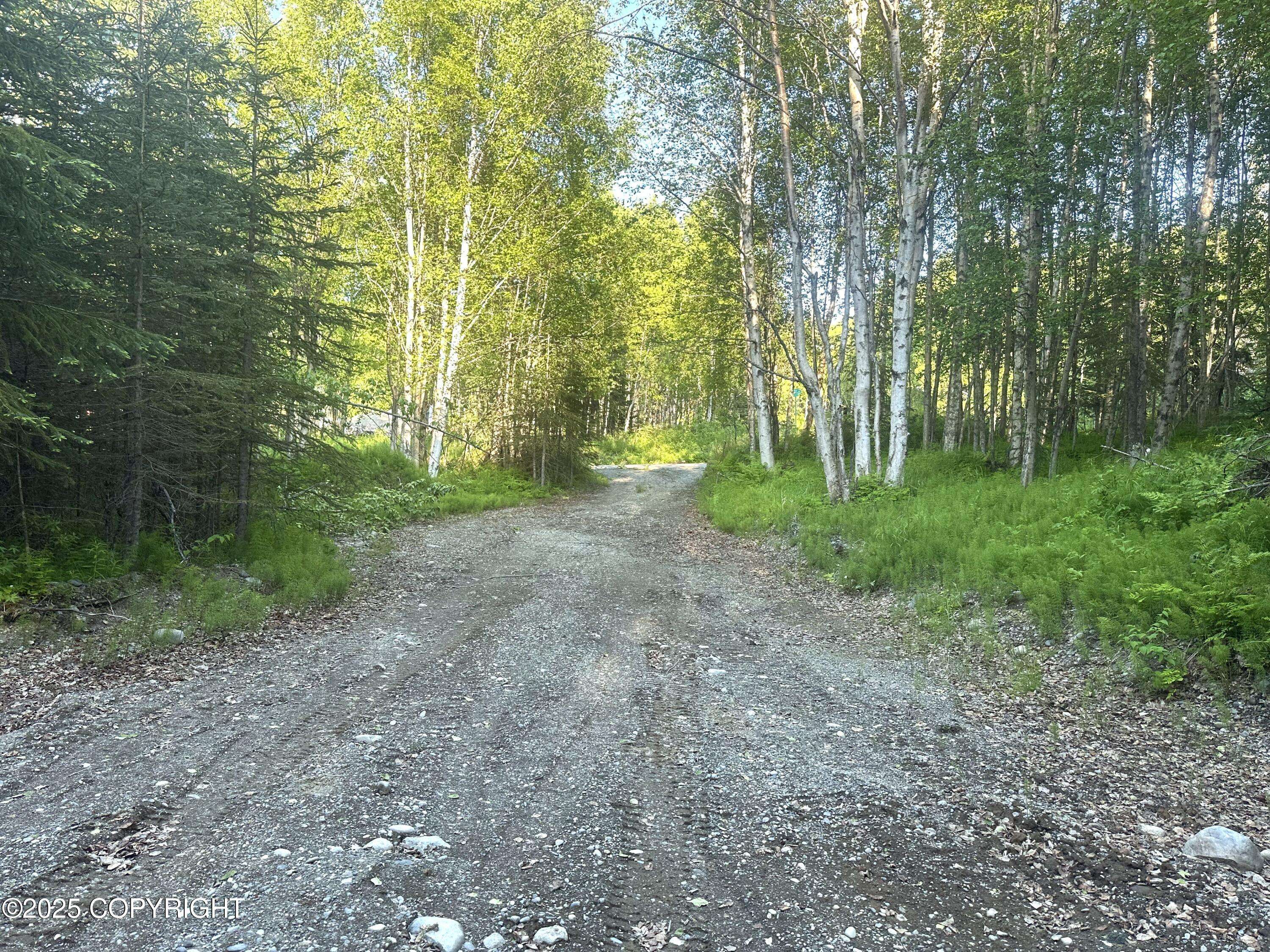 Nikiski/north Kenai, AK 99635,L 8 Wapiti
