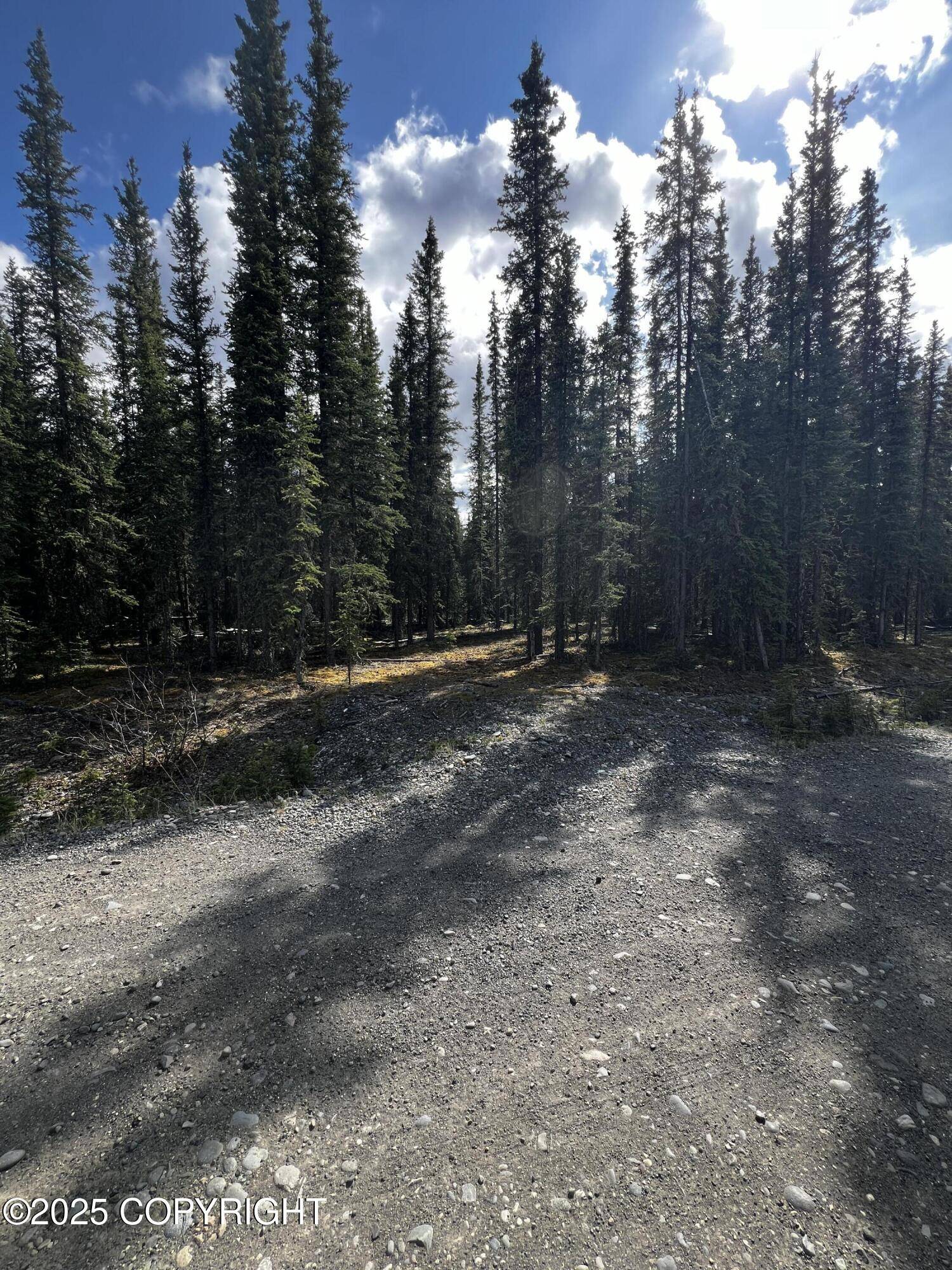 Tok, AK 99780,1G Alaska Highway
