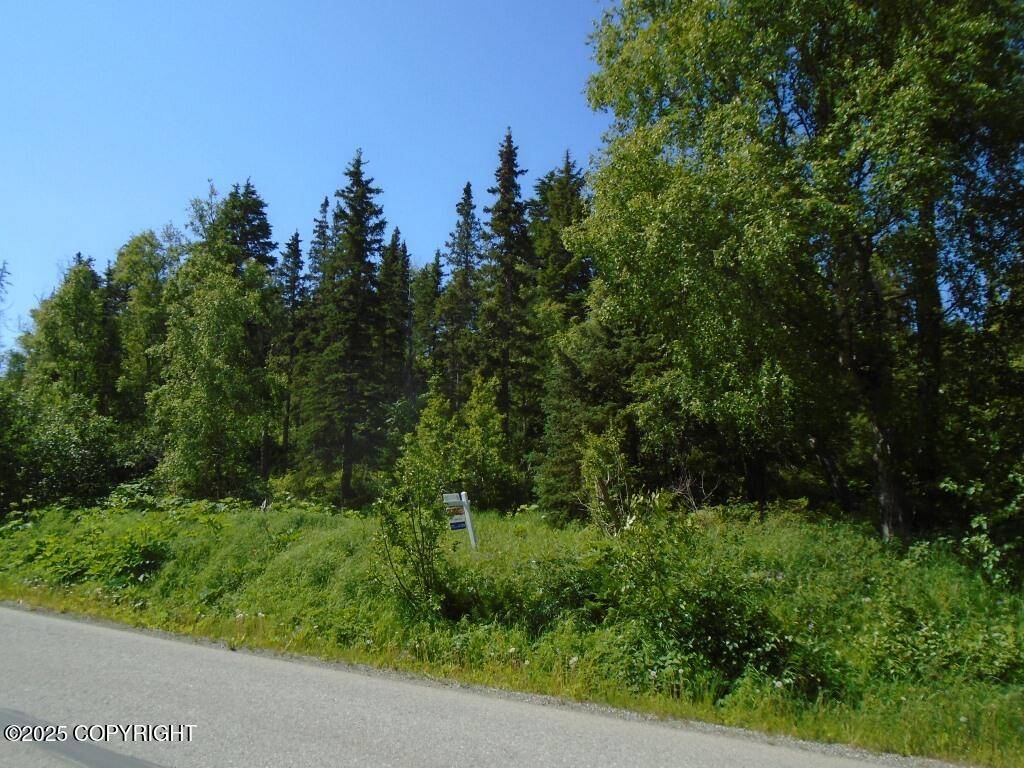 Anchorage, AK 99516,L4 Stone Ridge RD