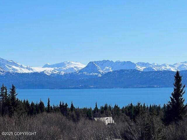 Homer, AK 99603,54625 Rolling Meadows RD