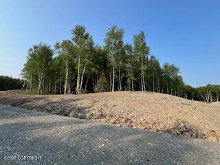 Wasilla, AK 99654,L4 B1 Sandburg DR
