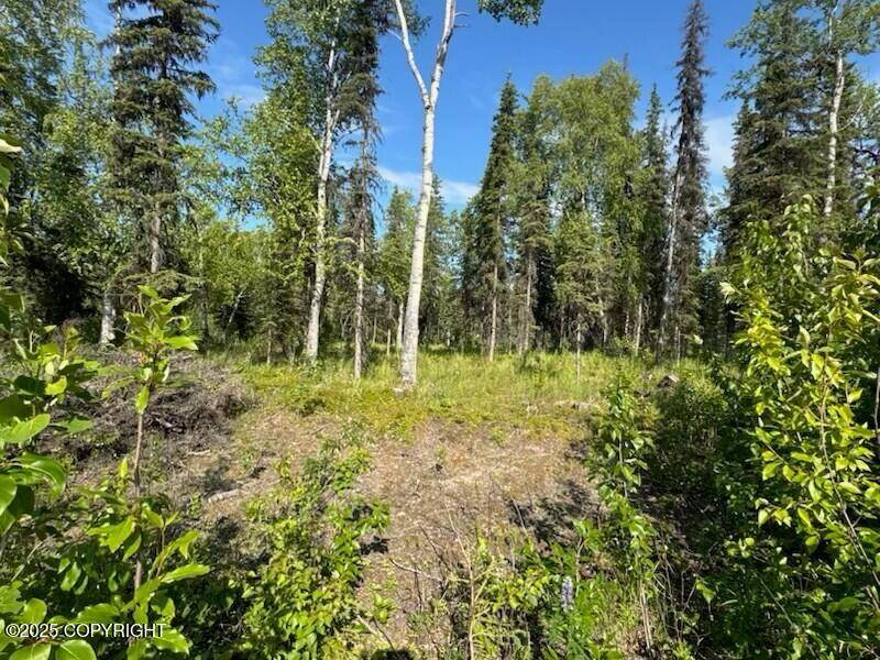 Soldotna, AK 99669,34647 Black Spruce DR