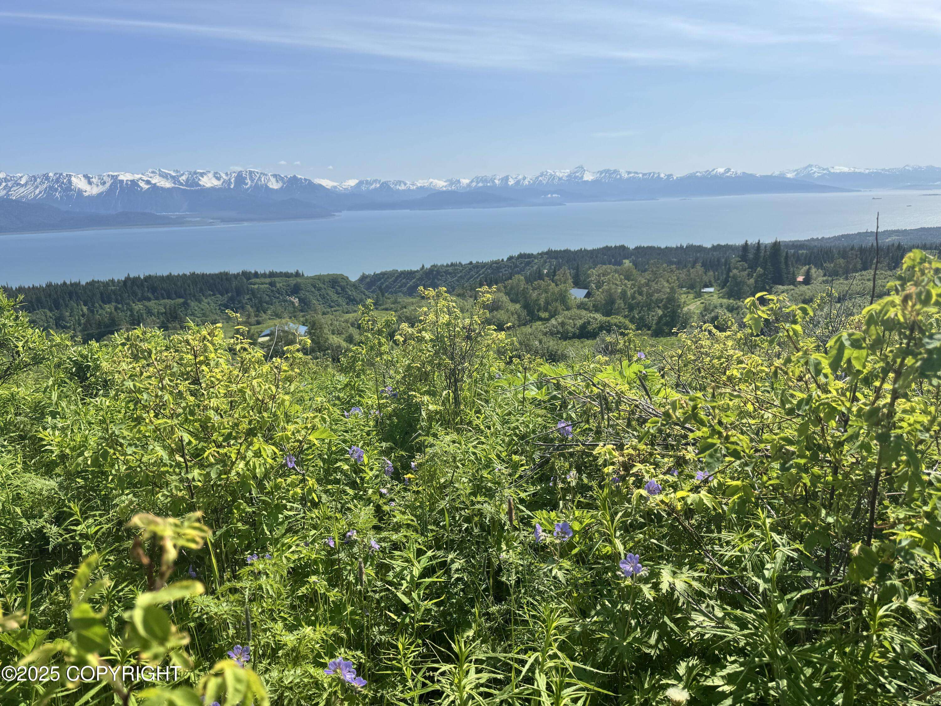Homer, AK 99603,L4 East End RD