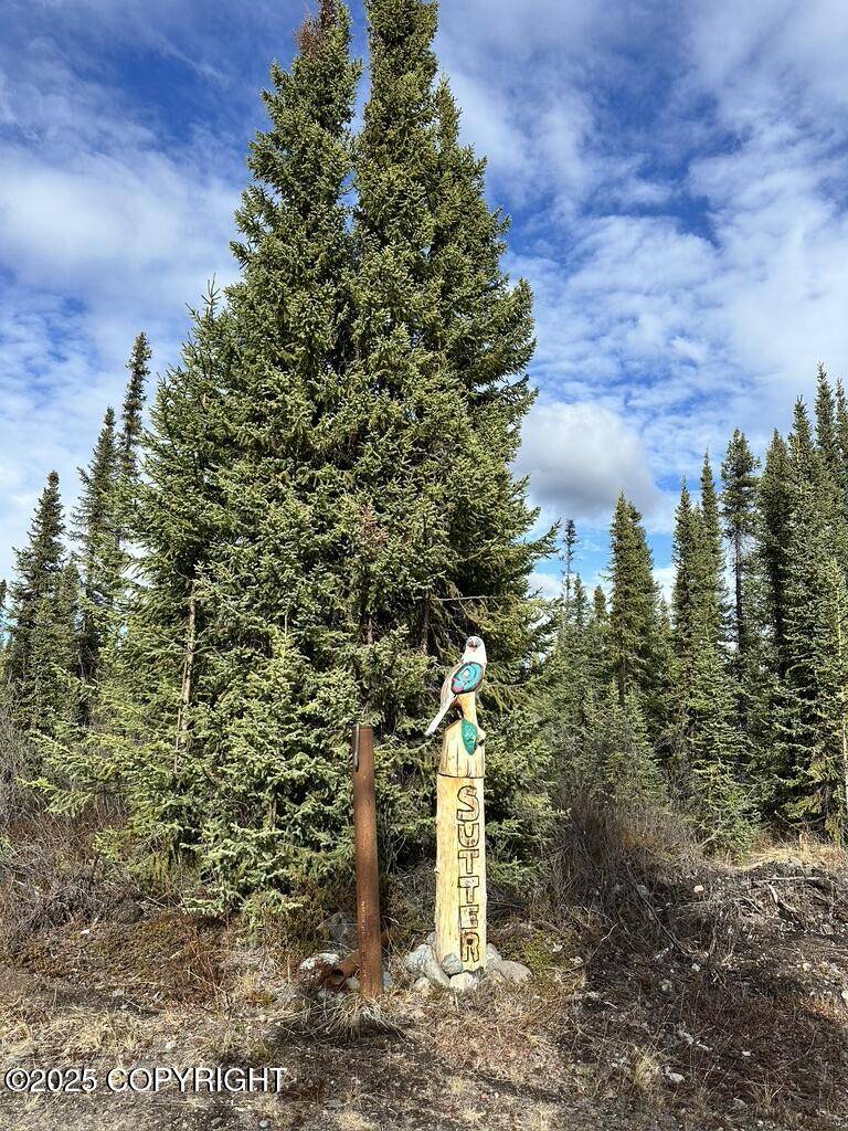 Slana, AK 99586,5000 Ridge RD