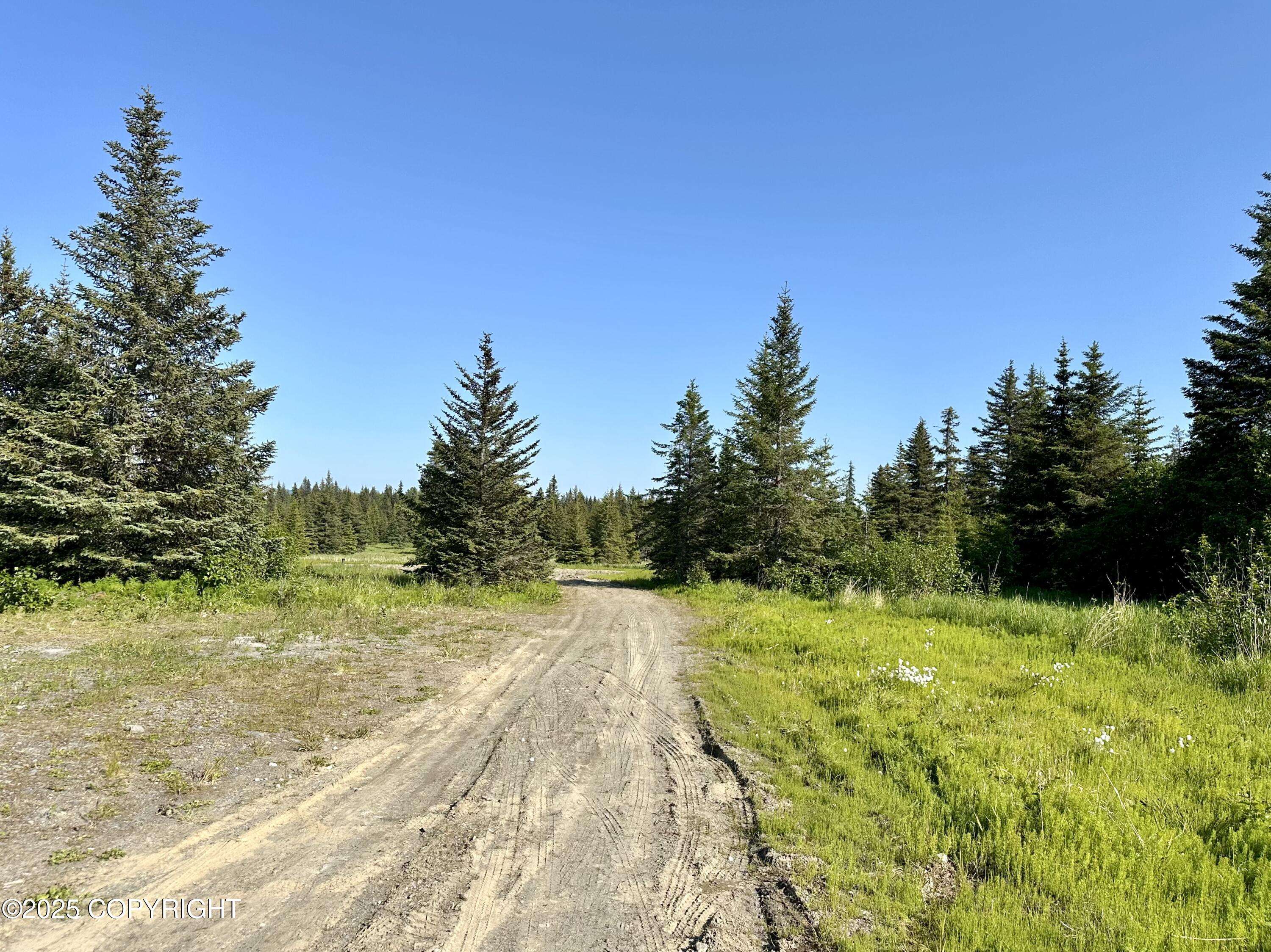 Anchor Point, AK 99556,32800 Shorebird LN