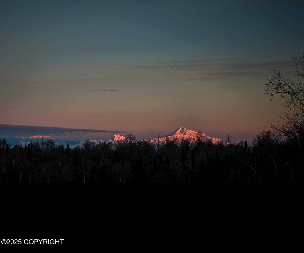 Willow, AK 99688,50735 S Silver Salmon DR