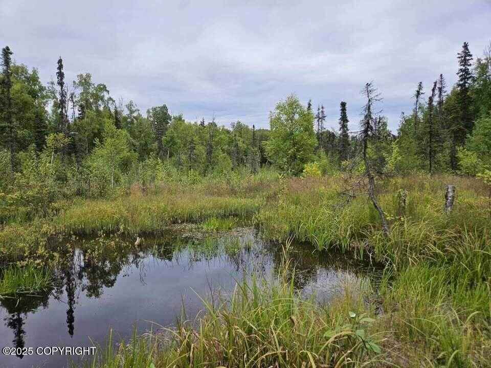 Wasilla, AK 99623,7015 N Nightfall ST