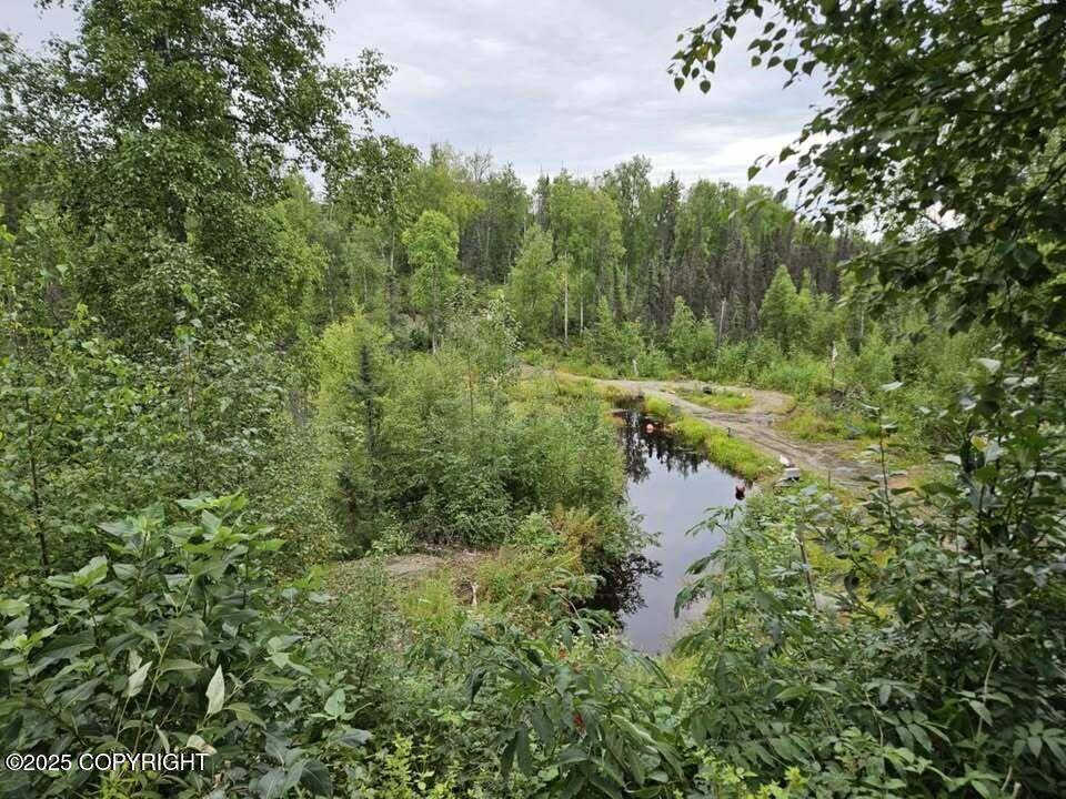 Wasilla, AK 99623,7015 N Nightfall ST