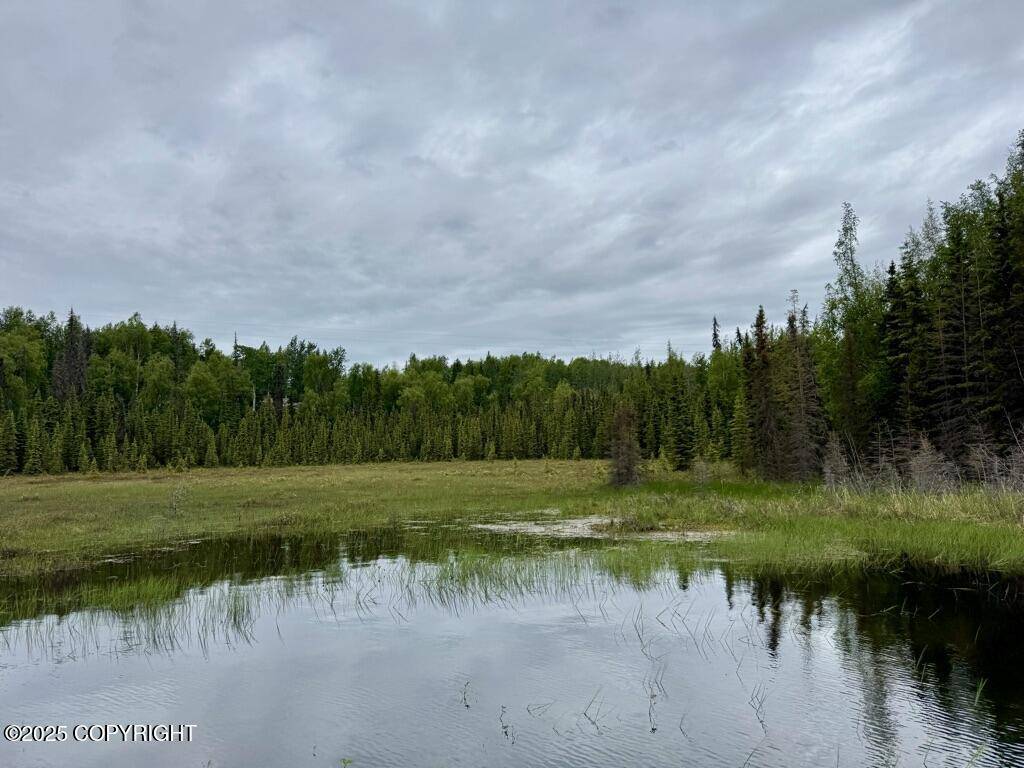 Soldotna, AK 99669,000 Lenora CT