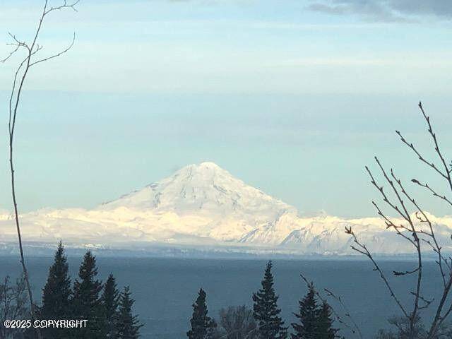 Ninilchik, AK 99639,17751 Arcturus LOOP