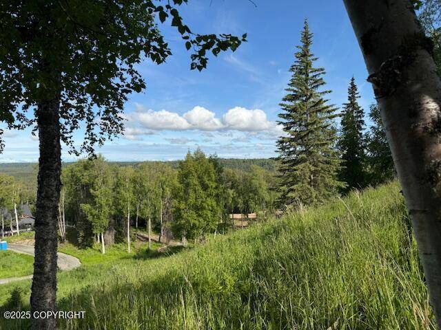 Soldotna, AK 99669,L15-A Gloria Burns Circle